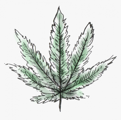 Fire Alien Kush x Purple Tahoe Alien x Valley Girl