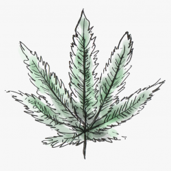 Fire Alien Kush x Purple Tahoe Alien x Valley Girl